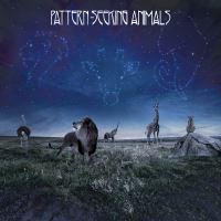 Pattern-Seeking Animals 2019 Debut Album Music Review