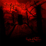 Dreyelands Rooms of Revelation new music review