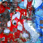 Trey Gunn I'll Tell What I Saw album new music review