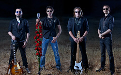Red Rose Band Photo