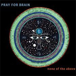 Pray For Brain None of the Above CD Album Review