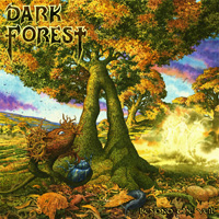 Dark Forest Beyond The Veil CD Album Review