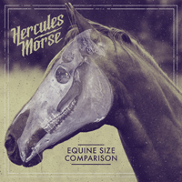 Hercules Morse Equine Size Comparison CD Album Review