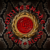 Whitesnake - Flesh & Blood Music Review